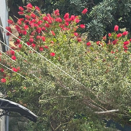 Vila Nimfa ซิโวกอสเชีย ภายนอก รูปภาพ